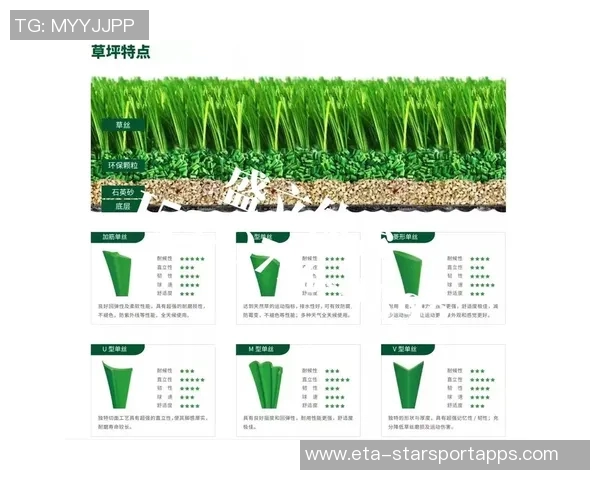 天然足球场价格分析及影响因素探讨，助你了解市场行情与投资价值