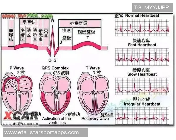 足球猝死球员现象引发关注体育界如何应对心脏健康问题